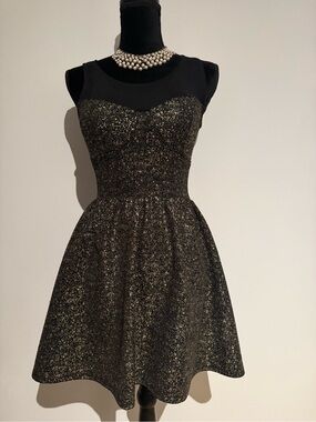 Black and Gold Sparkle Fit‑and‑Flare Mini Dress